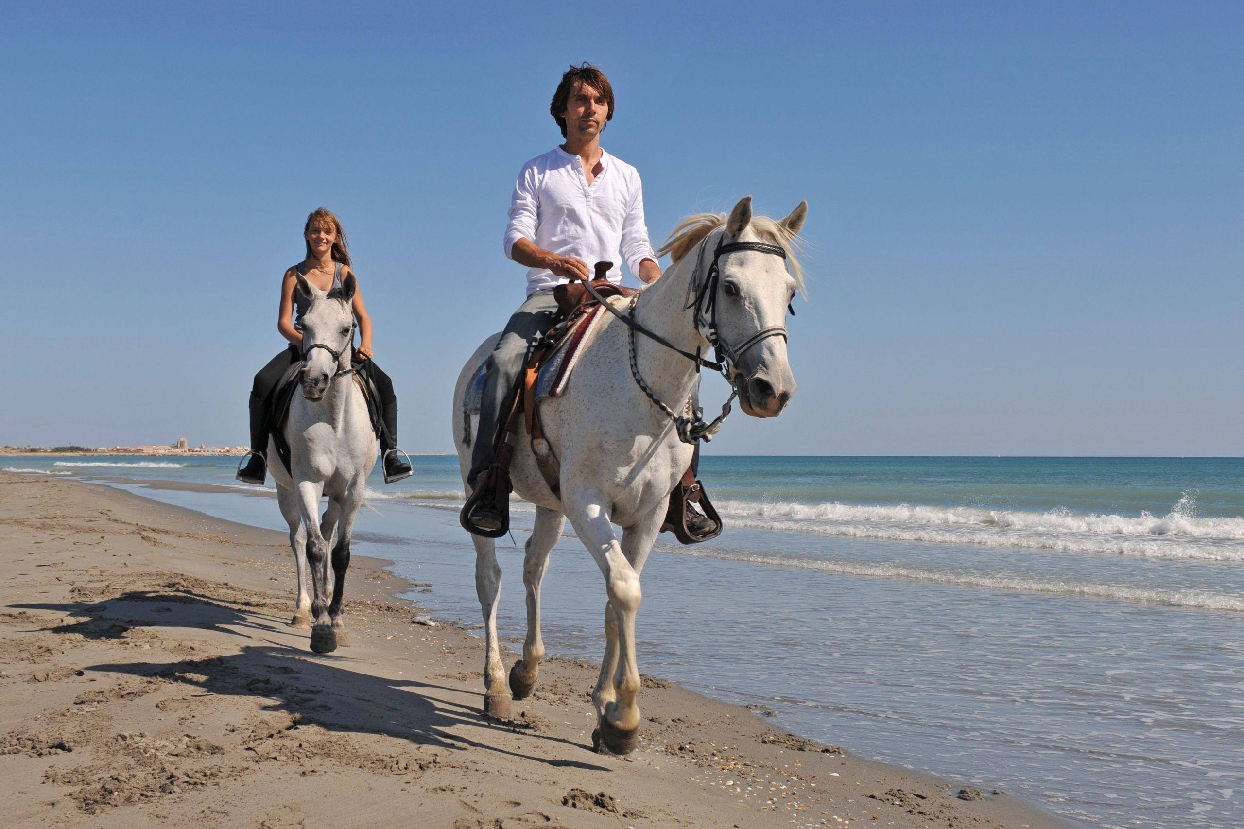 Swimming With Horse Riding Hurghada Tour Option Dinner & Show - photo 3