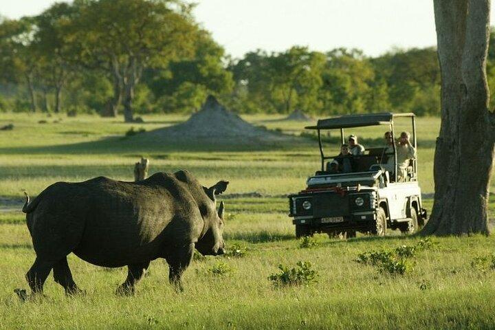 Full Day Moremi Safari Tour from Maun - photo 2