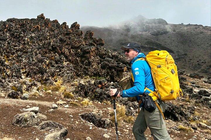 8-Day Kilimanjaro Lemosho Route | Most Scenic High Success Trek - photo 3