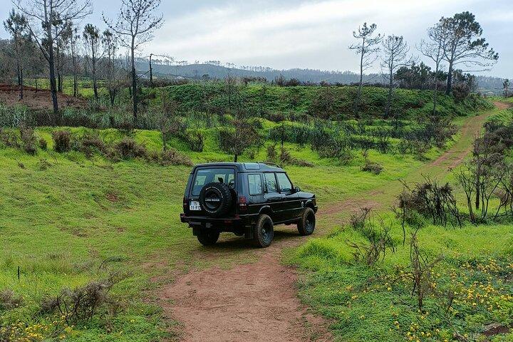 Funchal: Experiência 4WD Skywalk para Seixal Porto Moniz, Fanal - photo 5