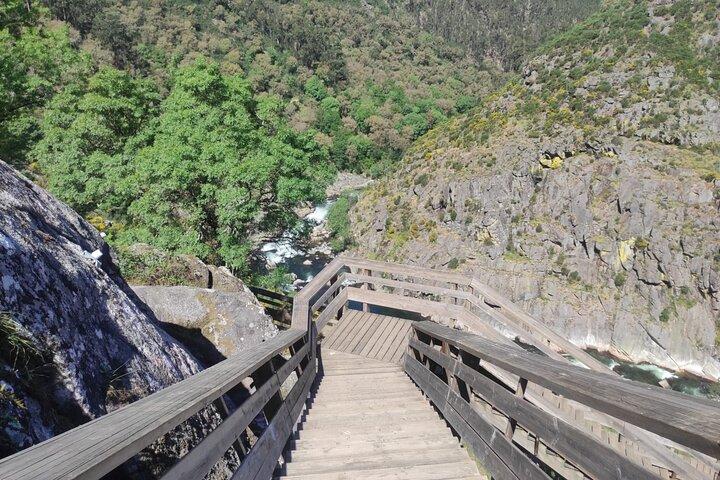 Paiva Walkways+516 Arouca Suspension Bridge+Aveiro - from Porto - cover photo