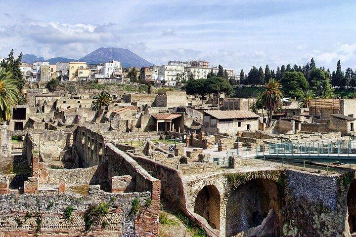 Sorrento: Pompeii, Herculaneum, Vesuvius Wine Tasting and Lunch - photo 4