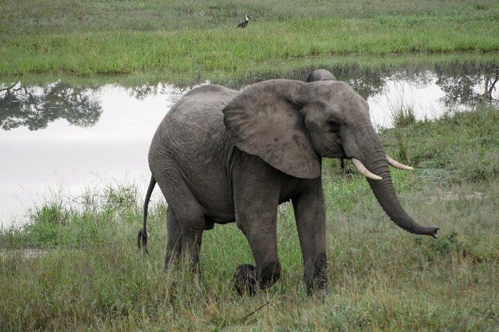 7 Days South Africa and Eswatini adventure tour - photo 3