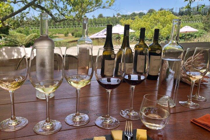 Private Tour to 20 Wine Tasting in Stellenbosch and Franschhoek - photo 3