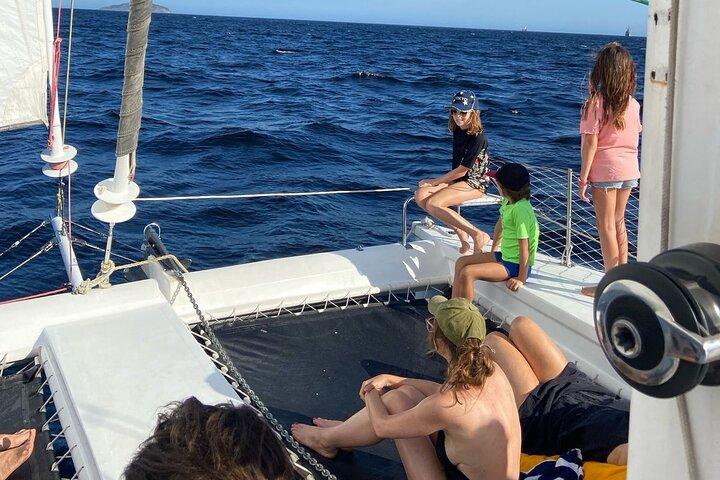 Private Tour : 3 hours in Catamaran Sailboat with Open Bar - Velas do Rio - photo 4