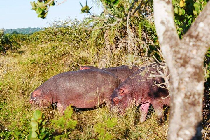 7 Days South Africa and Eswatini adventure tour - photo 4