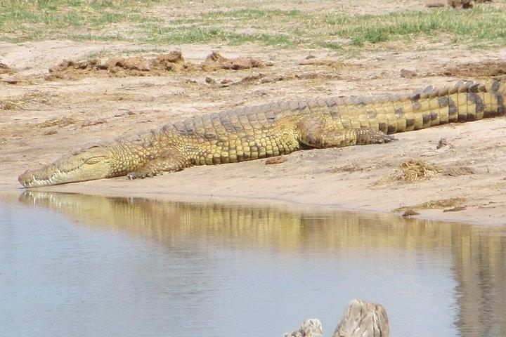Sunset Cruise ,Chobe Safari Full Day , Airport Transfers Combo 3 - photo 3