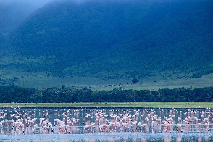 Experience Tanzania and Zanzibar with 15 Days Private Tour - photo 2