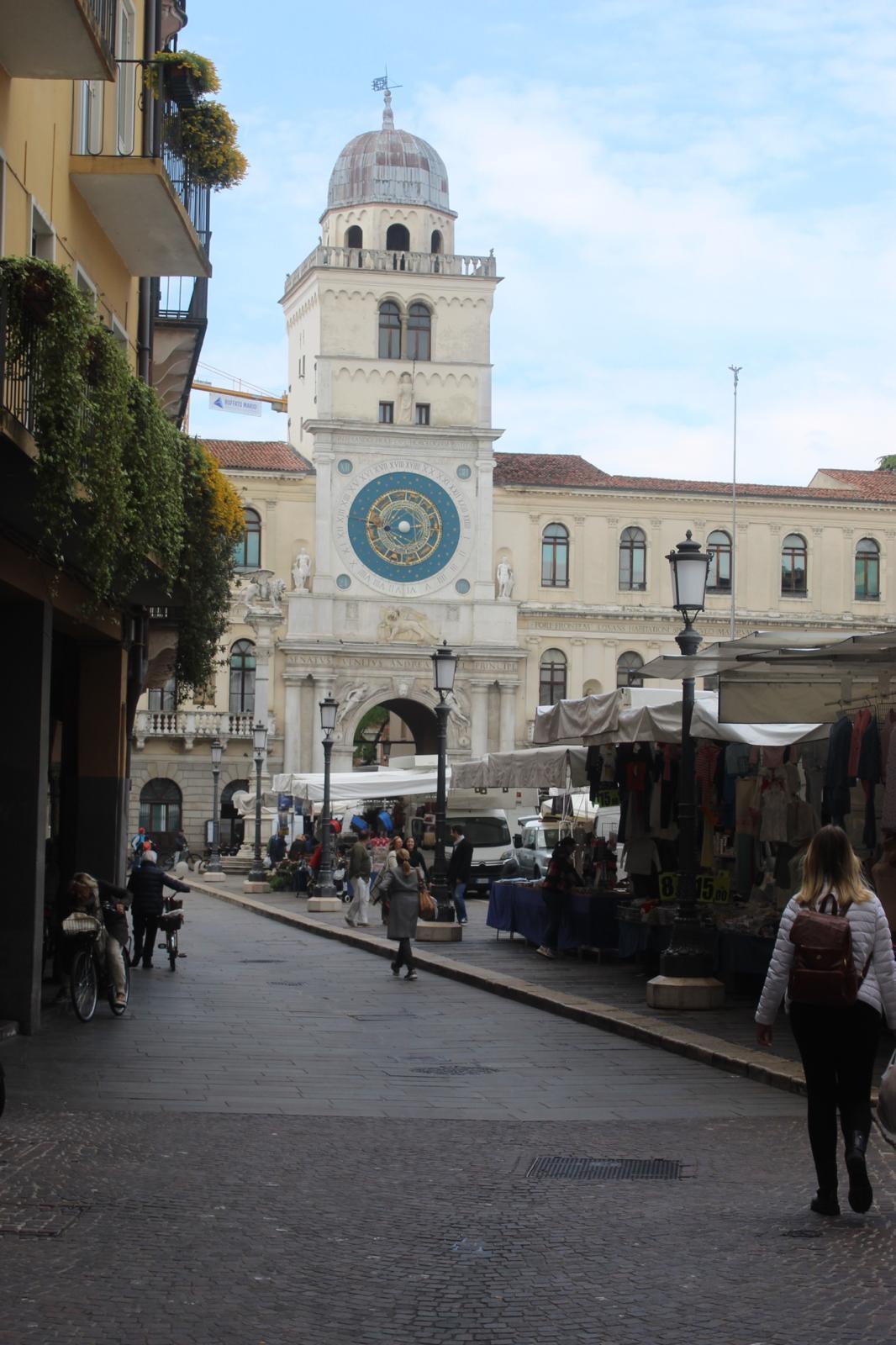 Experience Padua like a local from Padua - photo 4