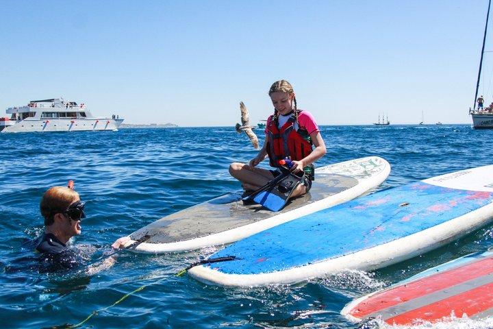 Private Cabo Paddle Board & Snorkel Adventure to the Arch - cover photo