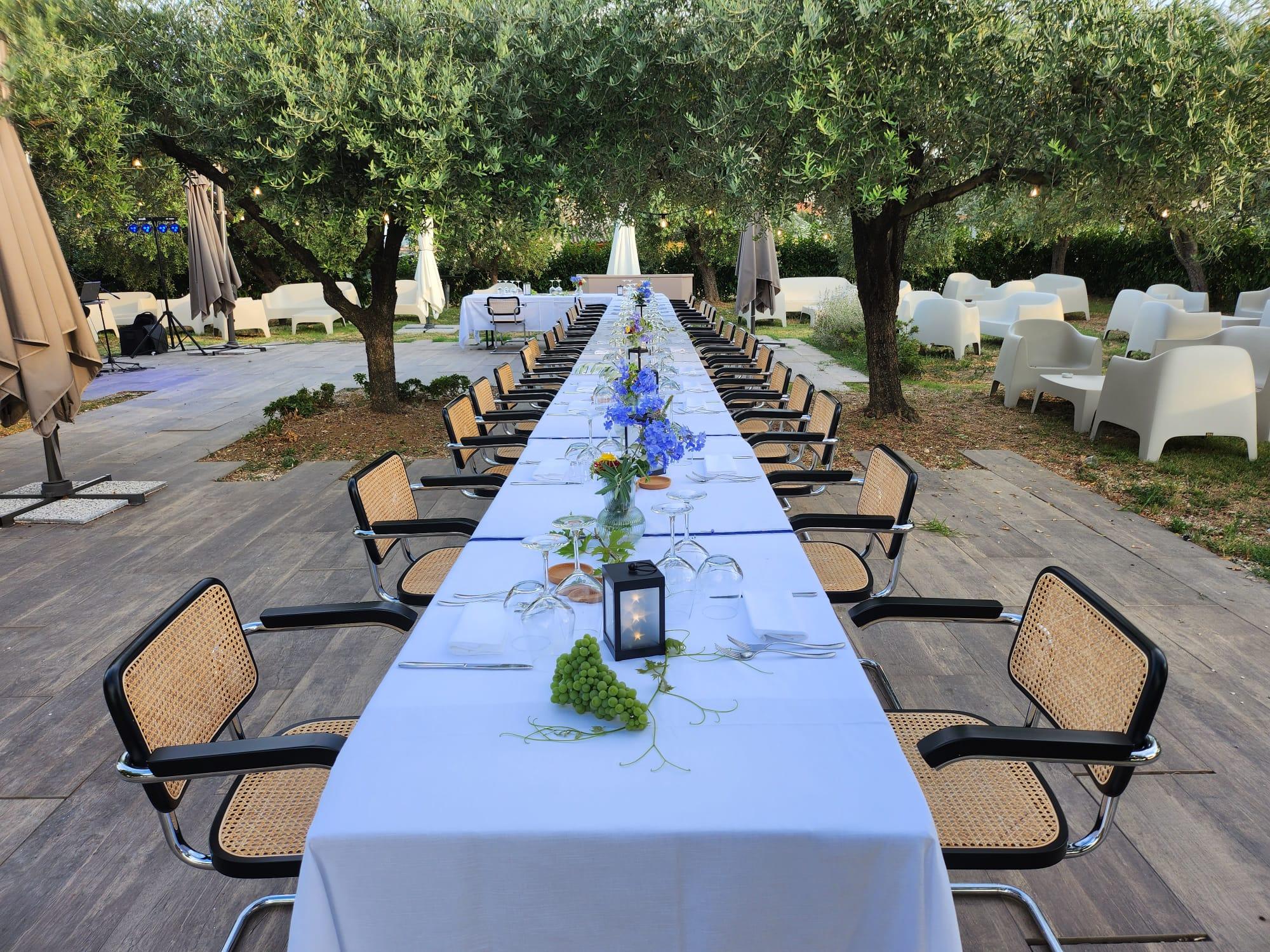 Wine tour between history and gourmet tasting at Feudo Antico Winery - photo 2