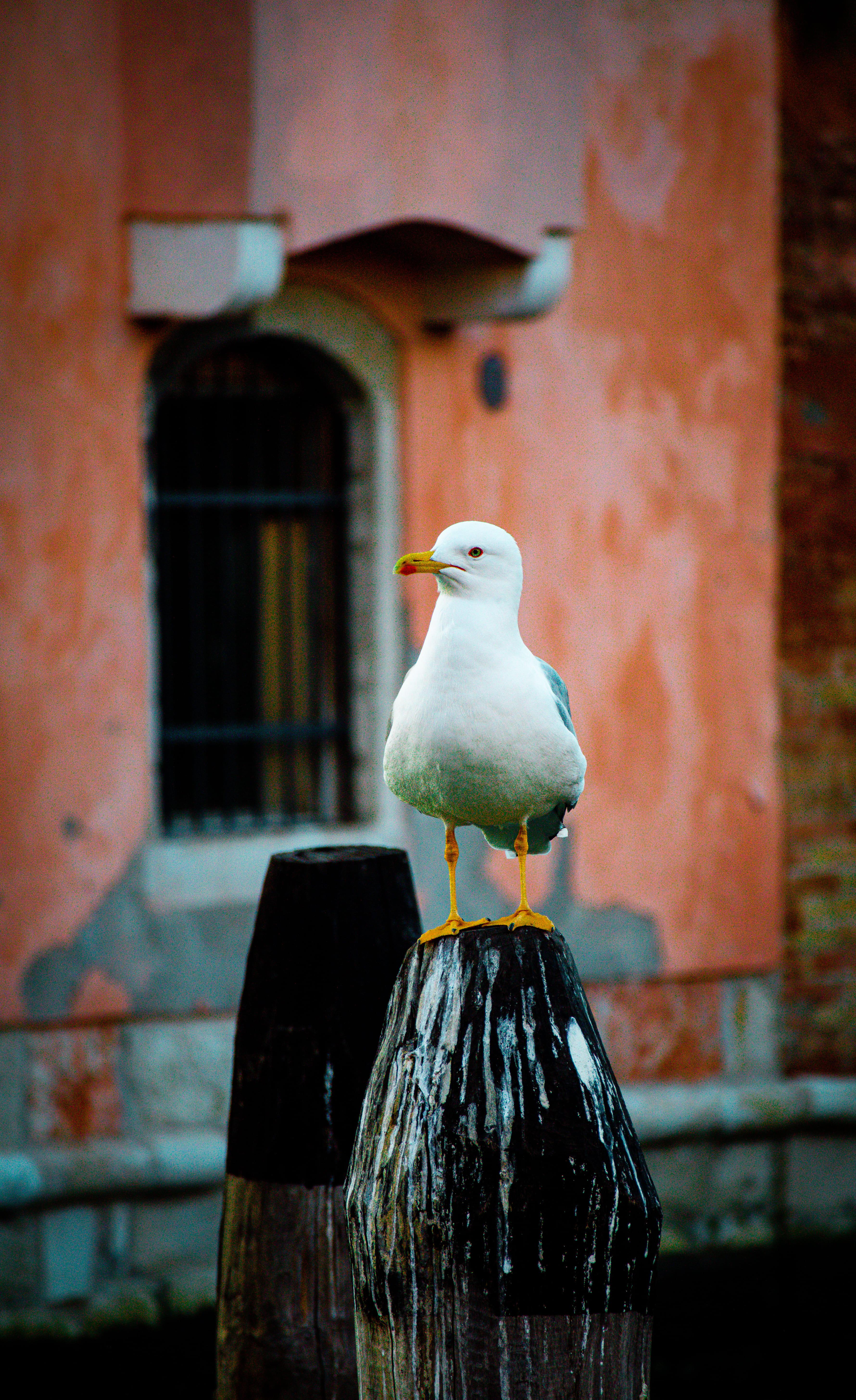 Tour to Venezia - photo 5