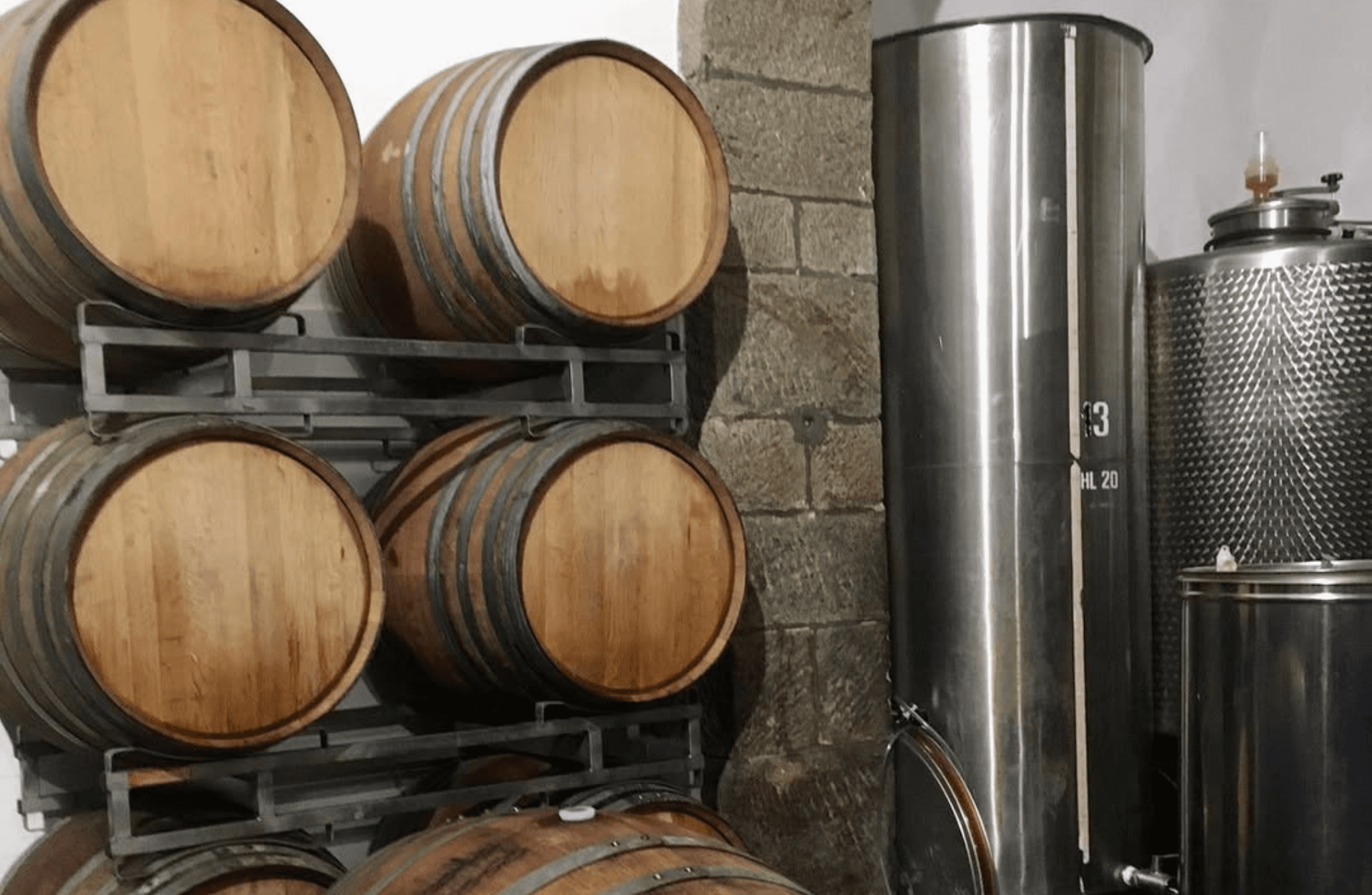 Organic Wine Tasting with Local Food & Stroll in Roccalbegna - photo 4