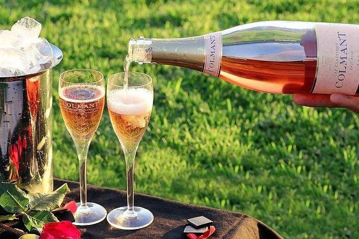 Cape Town Private, Wineland Tasting Tour - cover photo