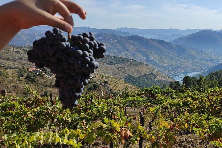 Wine Trip - photo 4