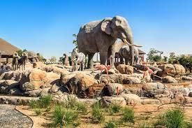 Dubai Safari Park Tour with Private Roundtrip Transfers - photo 2