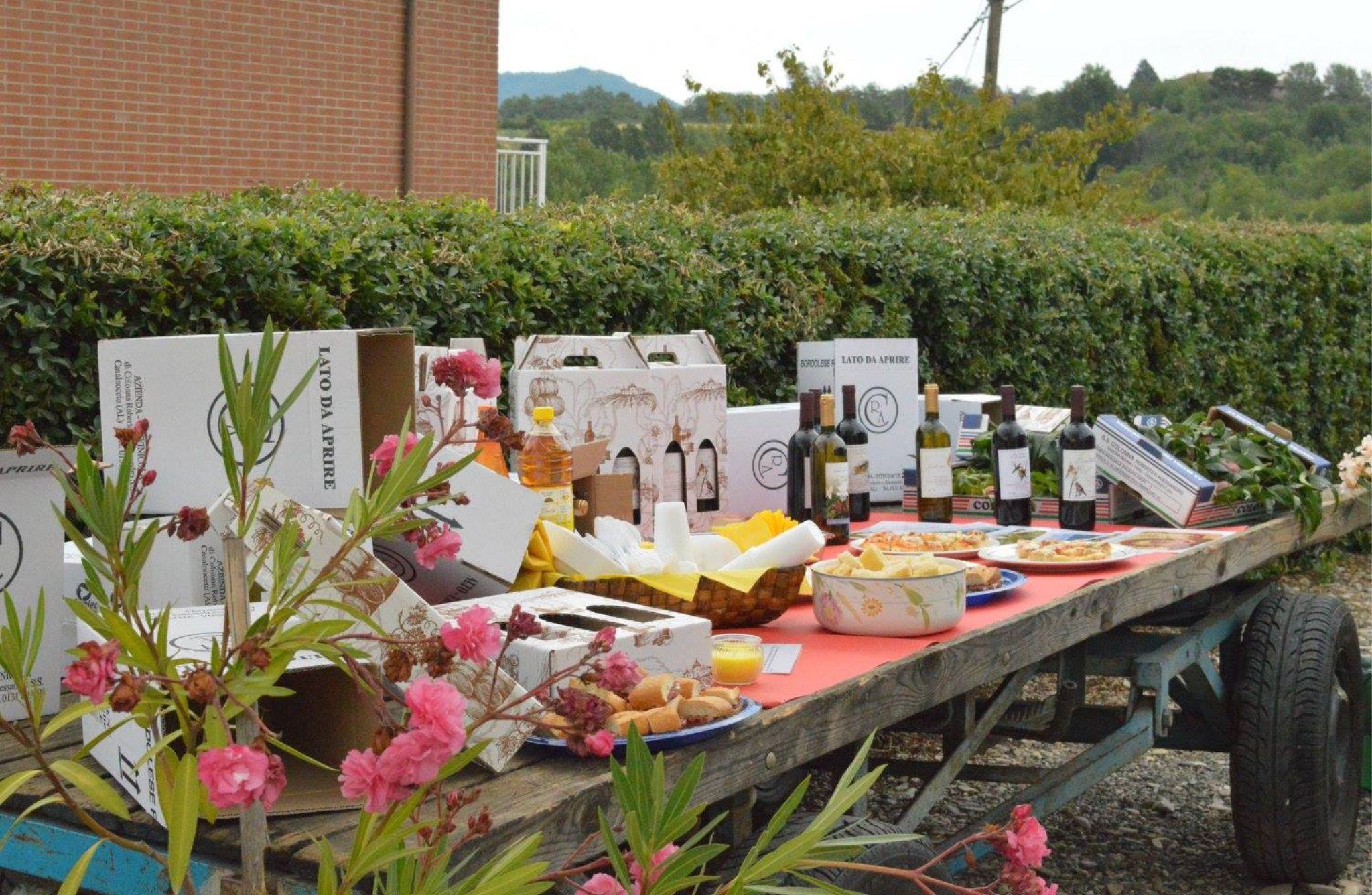 Winery Tour with Wine Tasting & Local Food near Tortona - cover photo