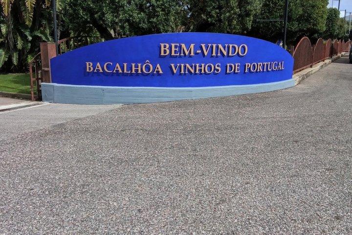 Sesimbra Tour with Guided Wine Tasting and Cristo Rei - photo 3