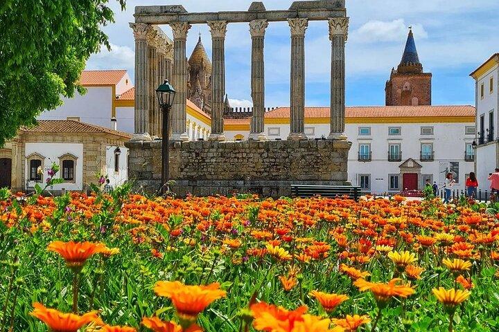 Évora & Alentejo Private Experience from Lisbon – Wine, Roman History & Countryside - photo 2