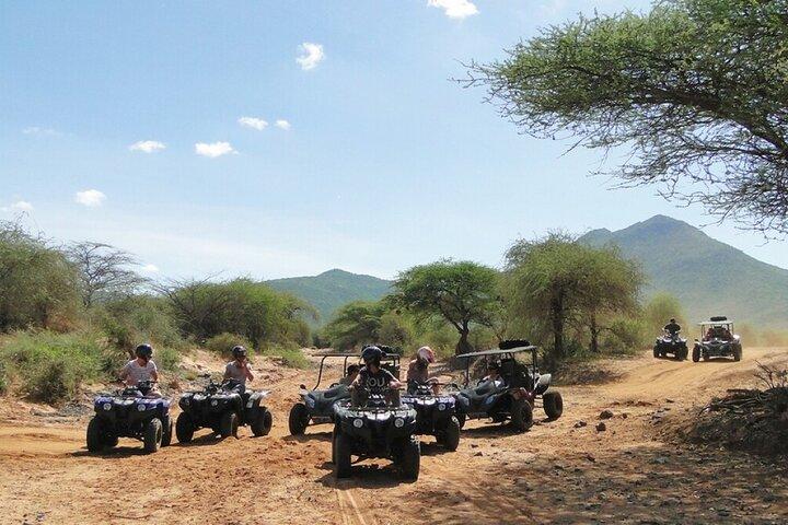 Cape Town Big Five Safari Tour Quad Bike Half Day - photo 5