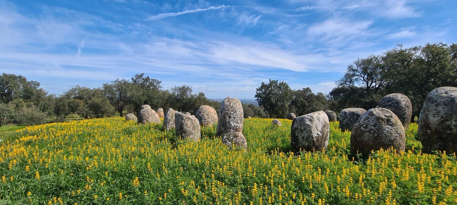 Montemor-o-Novo or Évora: One-Day Tour of Megaliths - cover photo