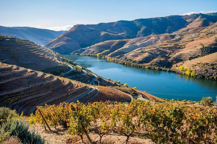 Private from Porto: Douro Valley Historical & Wine Tour - cover photo