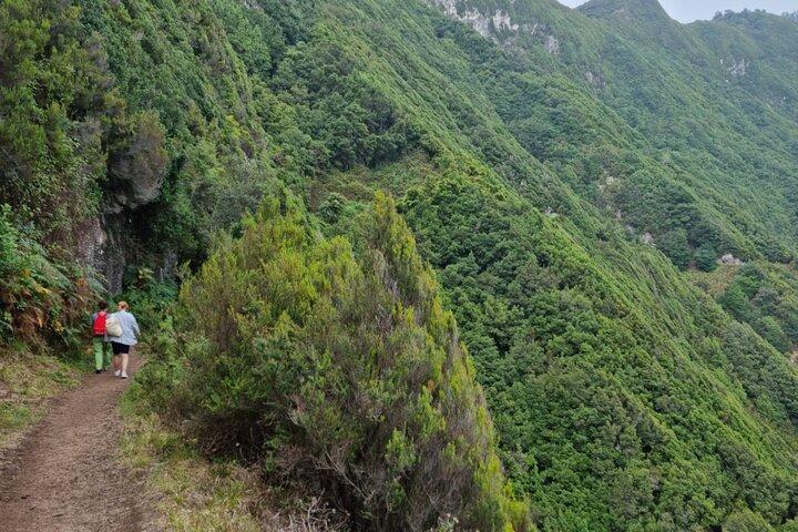 Madeira Porto da Cruz to Machico Self Hiking Tour with Transfer - photo 4