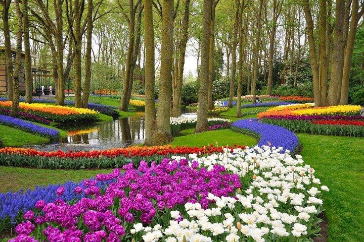 Delft and Keukenhof Gardens Tour - from Brussels - photo 5
