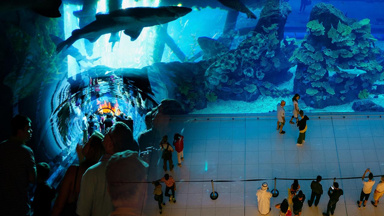 Private Half day Dubai City Tour with Dubai Mall shopping, Aquarium & Zoo, Burj Khalifa 124/125th floor visit & Musical Fountain Show - photo 2