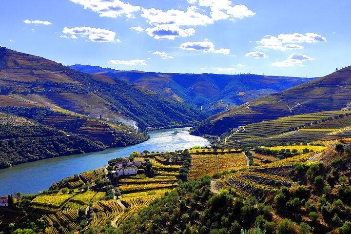 Wine Trip - photo 2