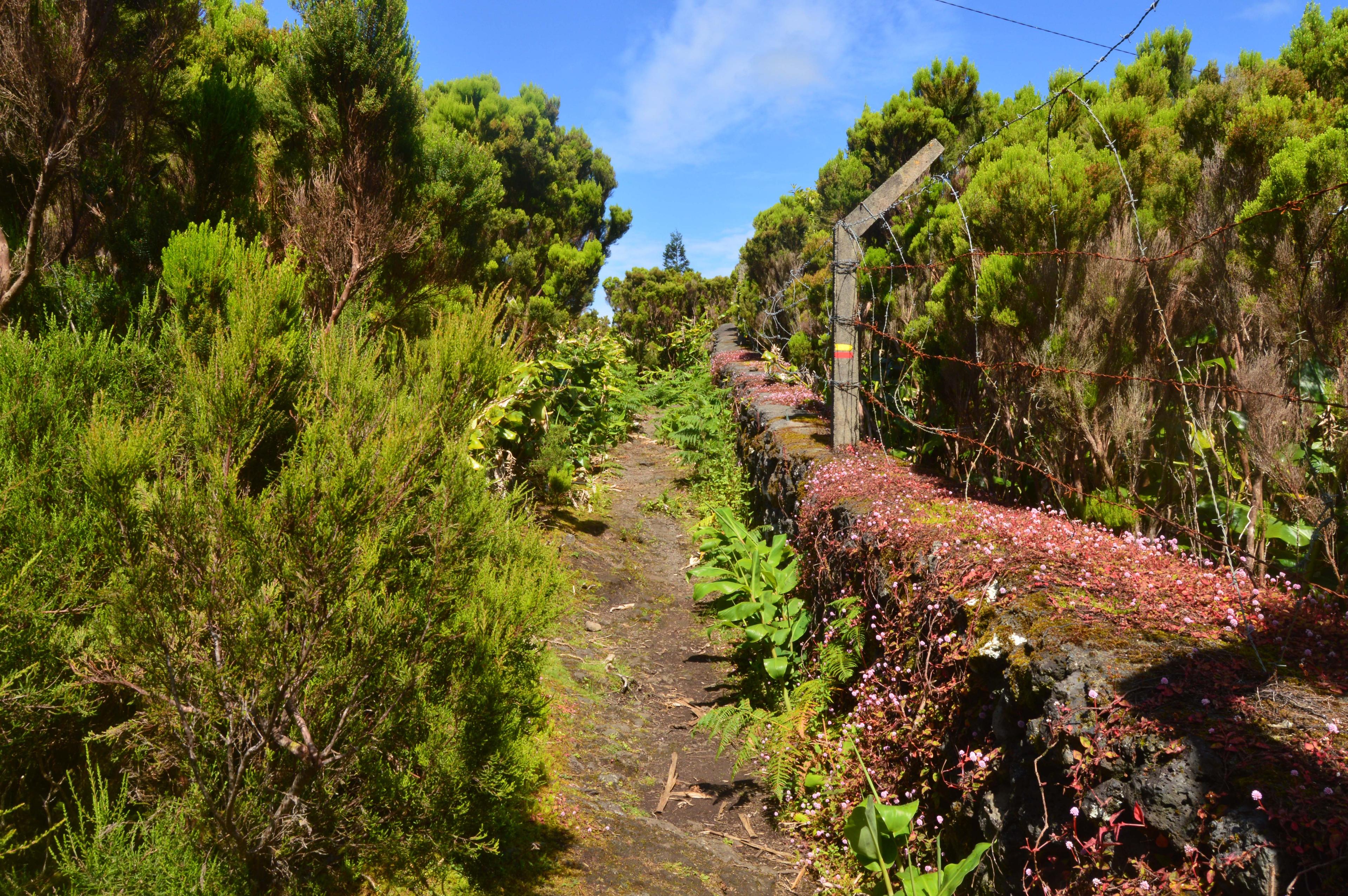 Hiking- passagem das Bestas - cover photo