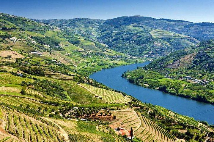 From Porto: Douro Valley: Wine Tour with Lunch Tastings & River Cruise - cover photo