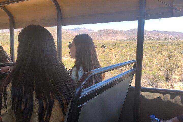 Big 5 Game Reserve Safari Full Day Tour and Lunch - photo 3