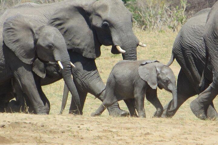 Things To Do In Victoria Falls Combo 5 - photo 4
