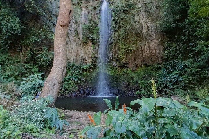 Full day East True Montains to Santana and Ponta de Sao Lorenco - photo 2
