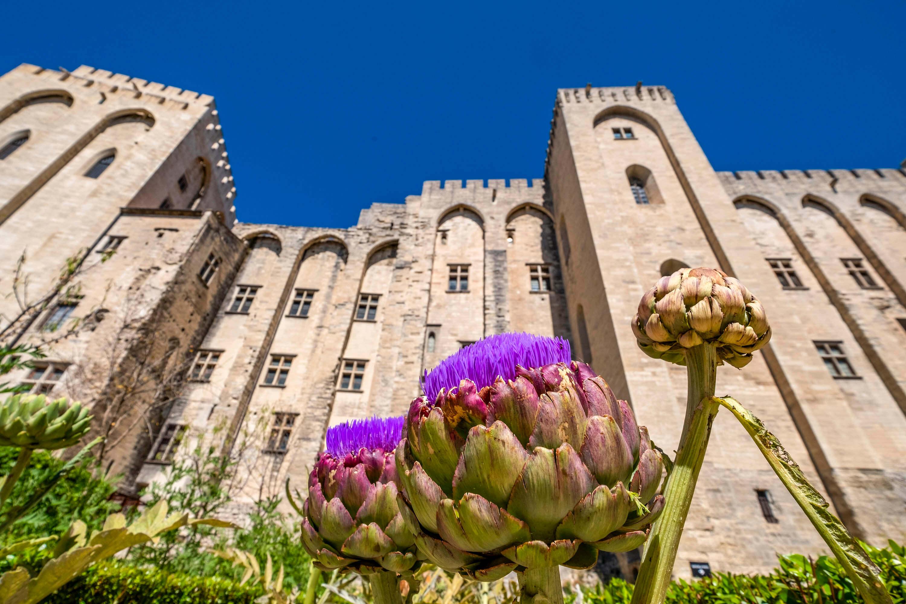 Avignon Walking Tour with an Audio Guide on Your Smartphone - photo 4