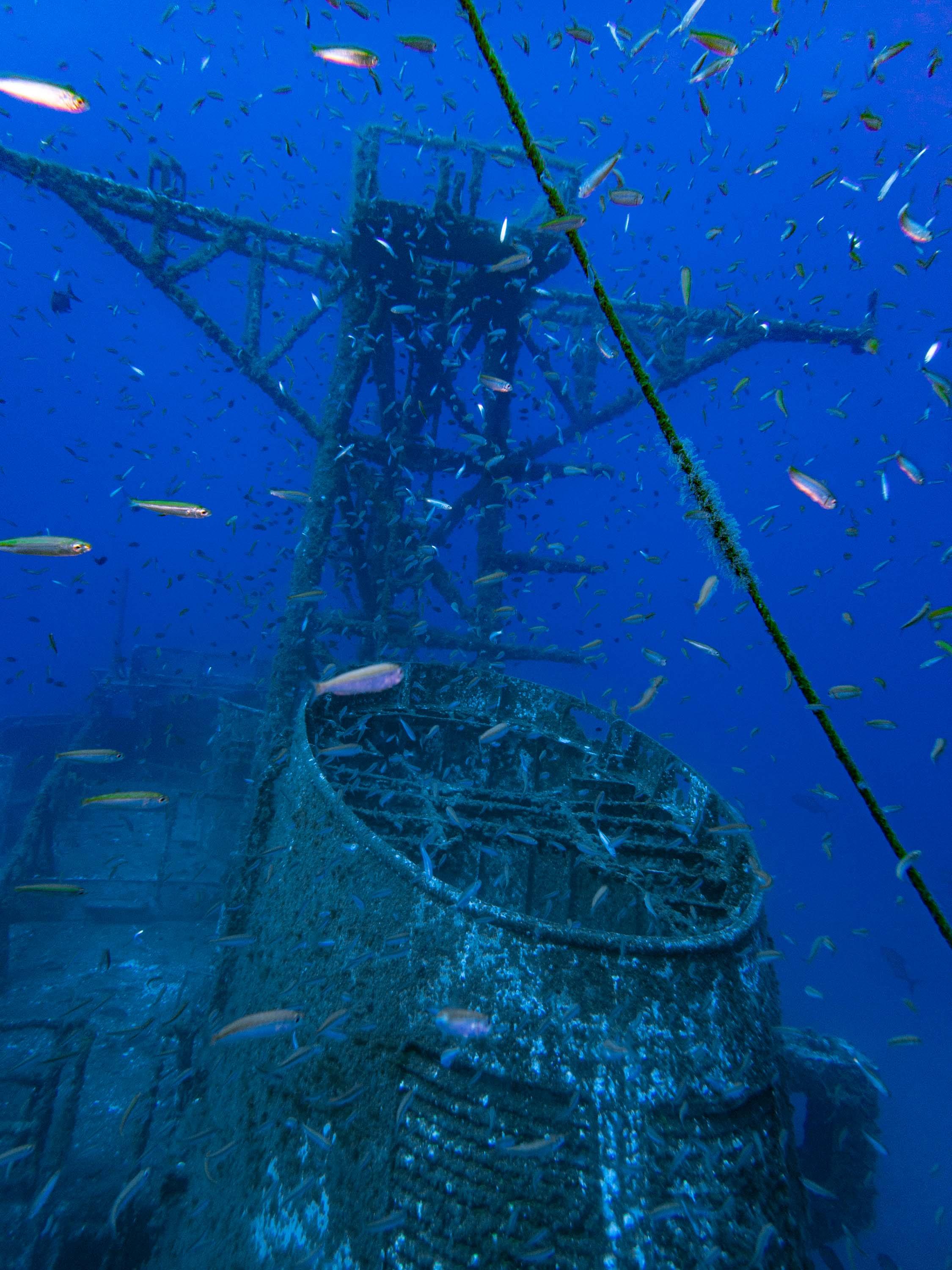 WRECK CORVETA AFONSO CERQUEIRA - Single dive - photo 5