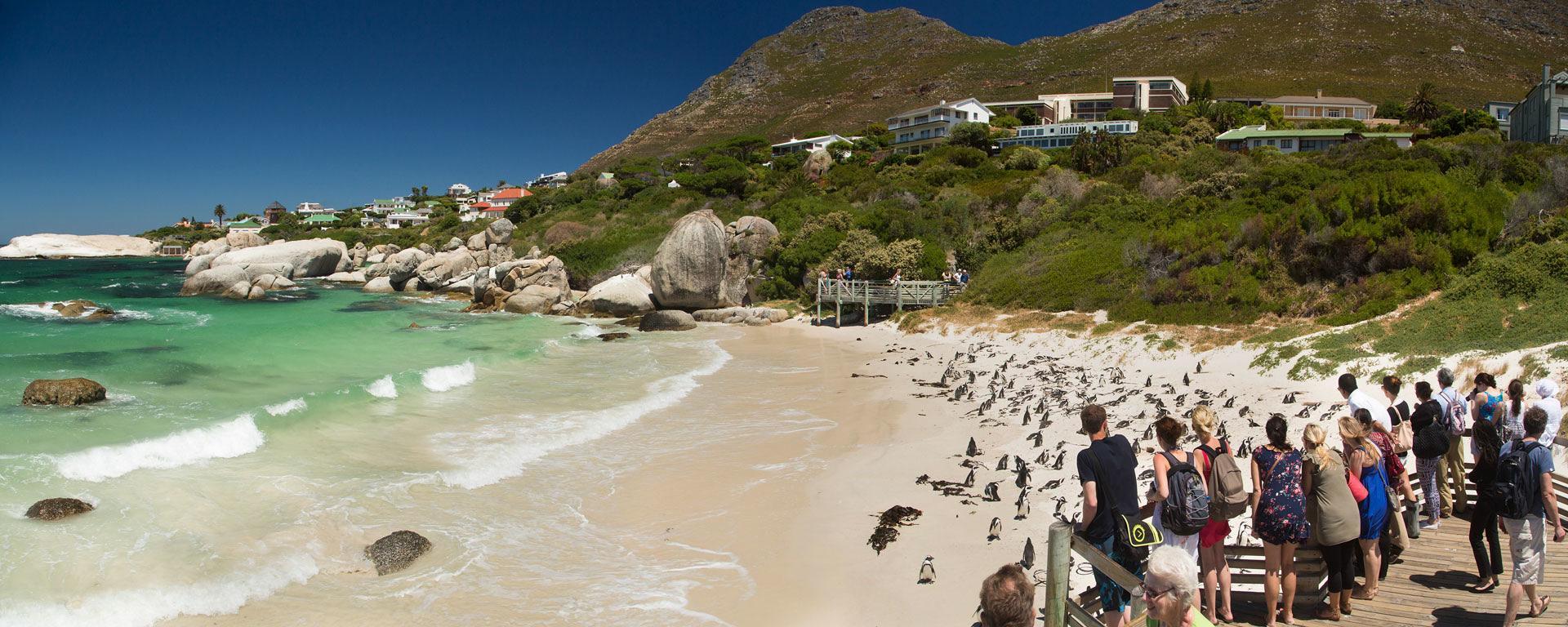 CAPE TOWN, NELSON MANDELA GATEWAY & CAPE PENINSULA PENGUIN TOUR - photo 4