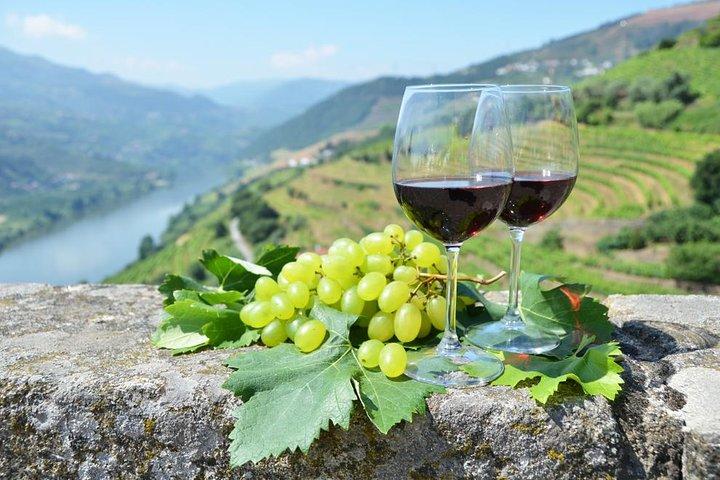 Private Tour From Porto: Douro Valley Wine Tour - cover photo