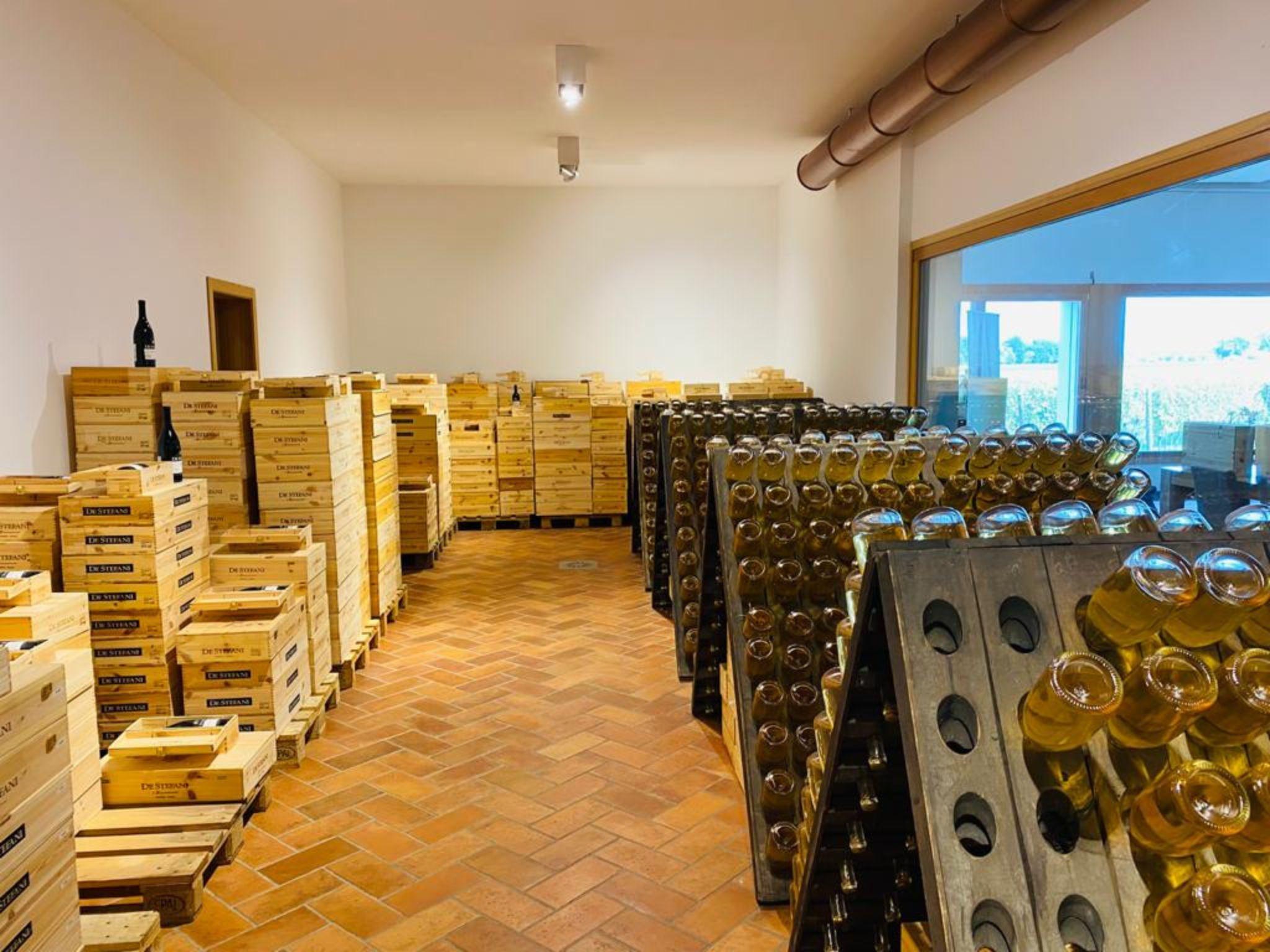 Prosecco Winery Tasting with Food Pairing near Venice - photo 2