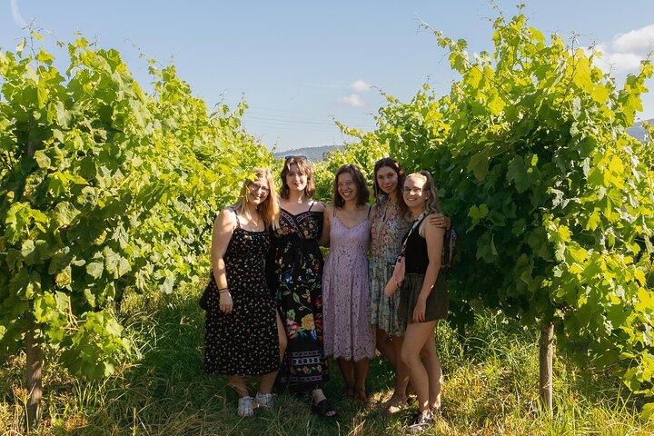 Porto: Douro Valley, 2 Wine Regions, Sommelier, Boat Trip & Lunch - photo 5