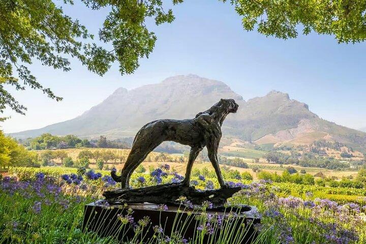 Full Day Winelands Tour With Wine Tasting from Cape Town - cover photo