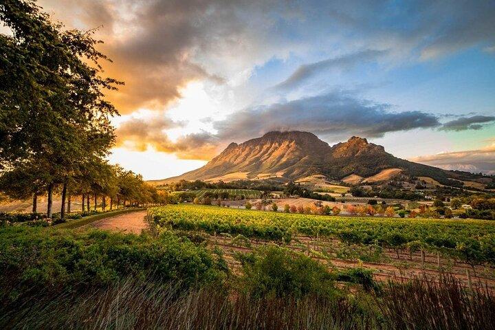 Full-Day Franschhoek Wine Tour from Cape Town - photo 4
