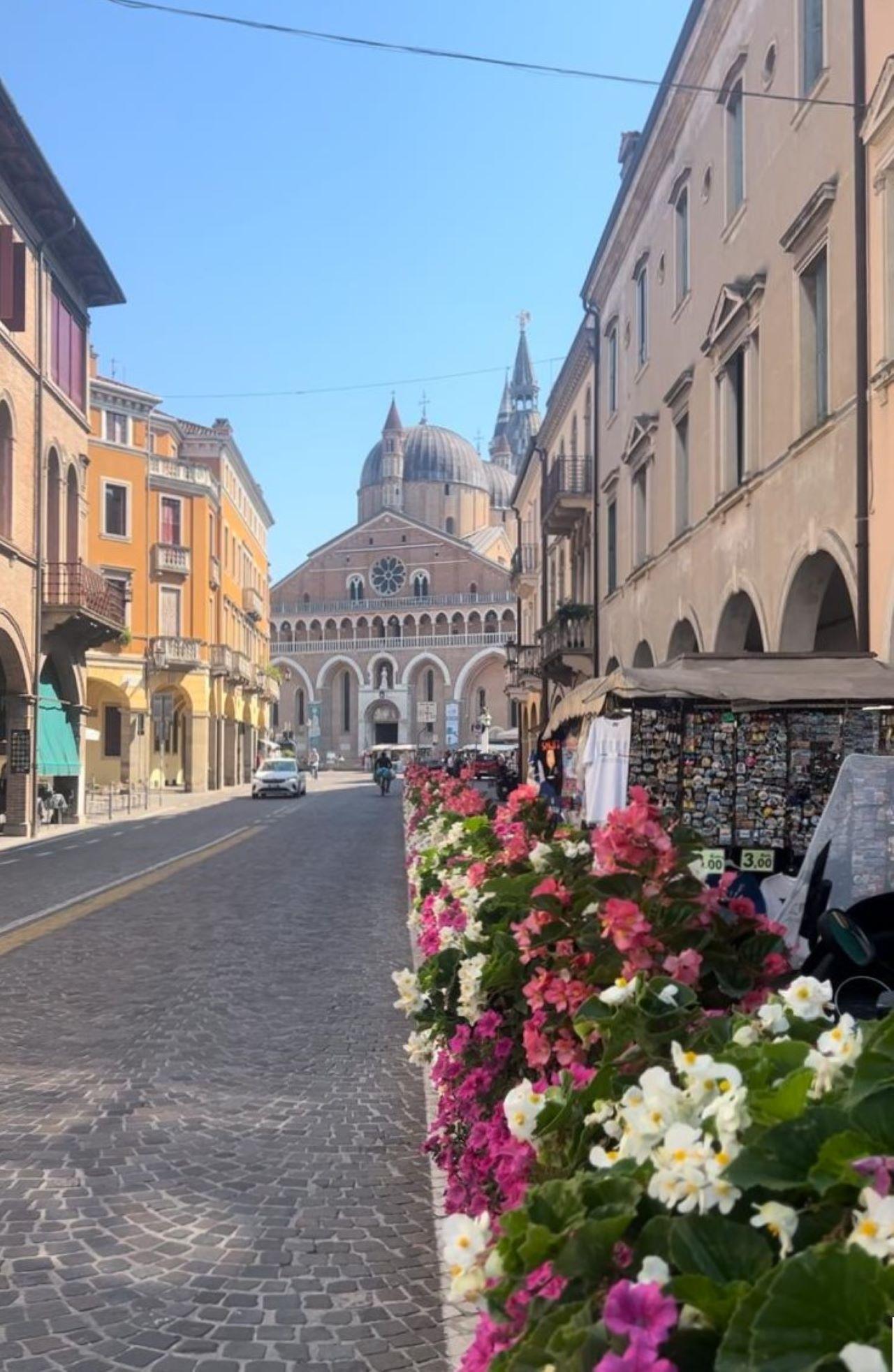 Experience Padua like a local from Padua - cover photo
