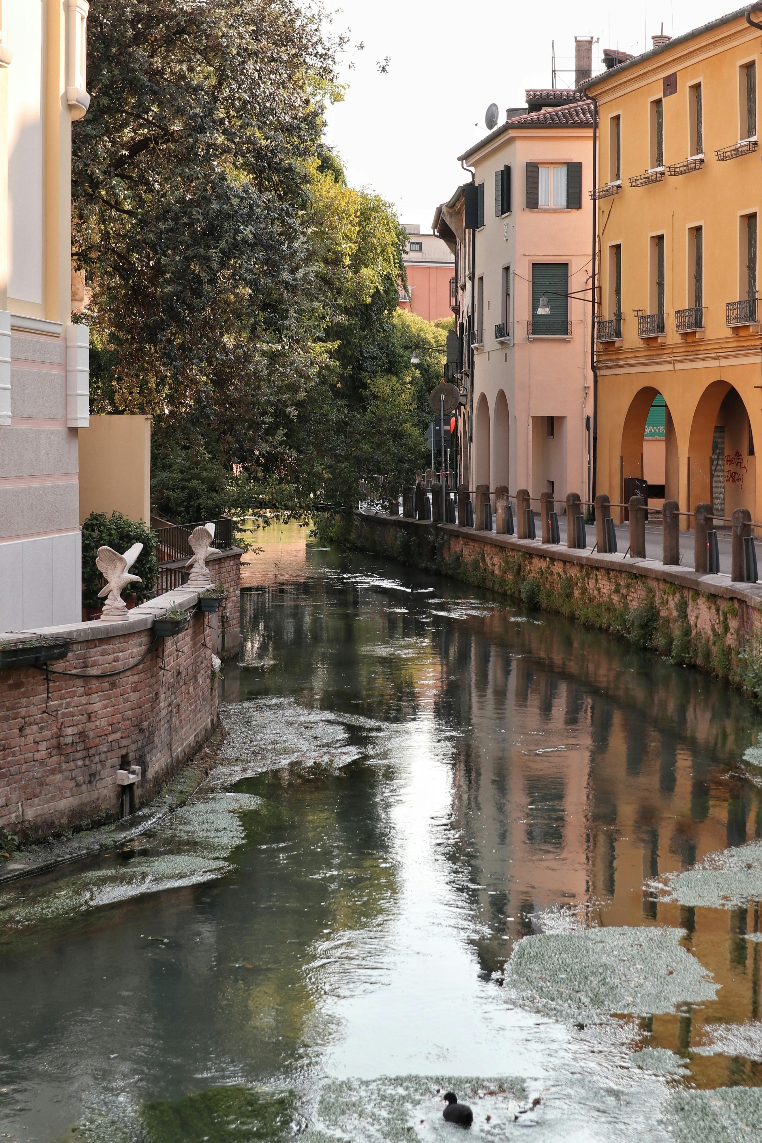 Tour to Treviso - photo 4