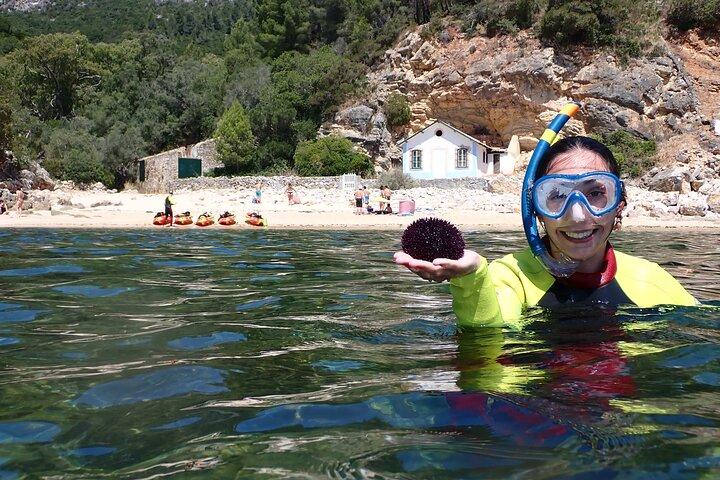 Kayak and Snorkeling Adventure in Arrabida - photo 4