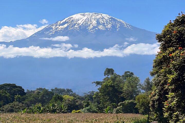 Moshi Cultural Day: Materuni Waterfall, Coffee Tour | City Tour - photo 3