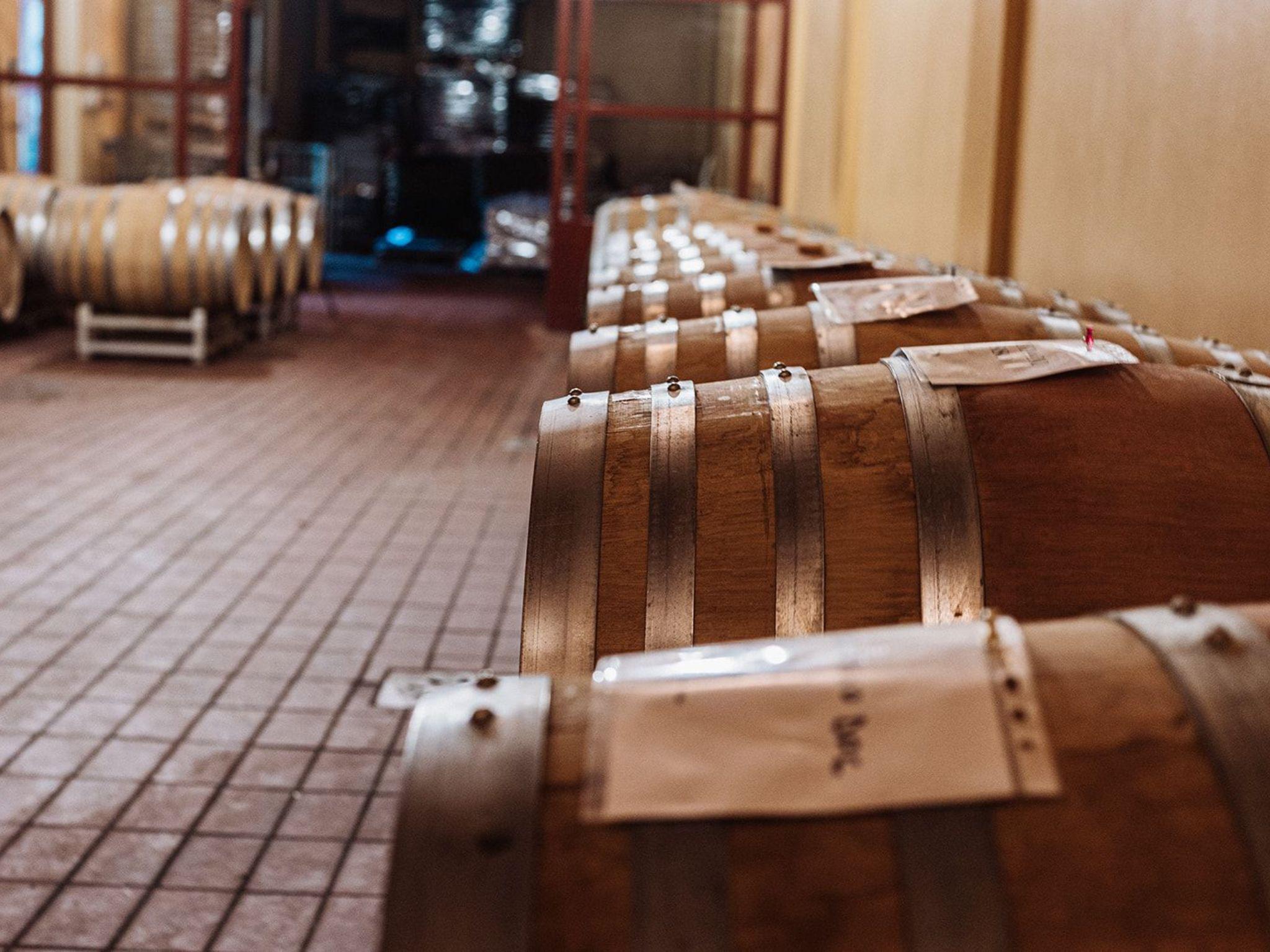 Winery Tour & Wine Tasting with Food near Livorno & Pisa - photo 5