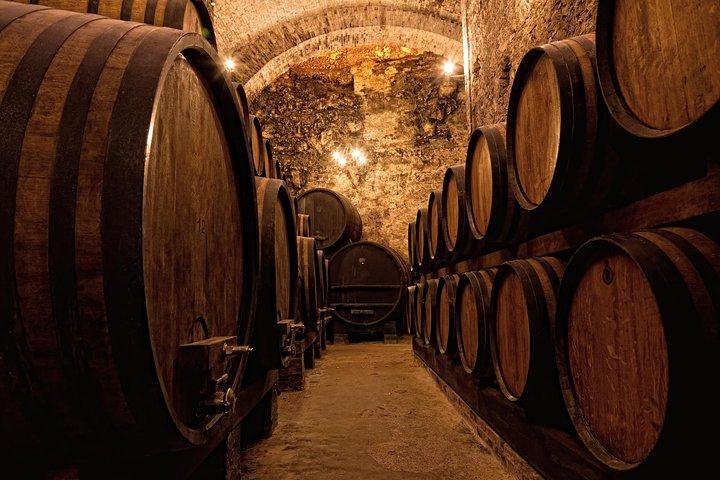 Private Porto Half Day Tour: Port Wine Cellars and Cheese Tasting - photo 2