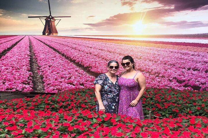 Holambra: Flowers & Windmill, The Little Piece Of Netherlands in Brazil - photo 2